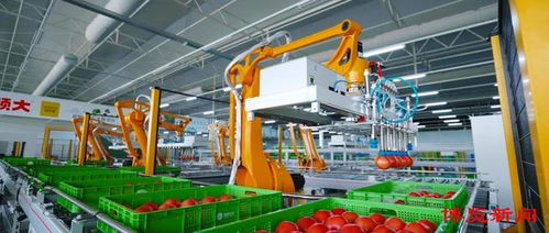 深讀淄博 智慧引領 淄博農業數字化轉型加速推進