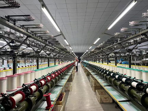 用好 數字化出海口 山東周村絲綢通過阿里國際站出海全球50多國