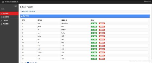 計(jì)算機(jī)軟件畢業(yè)設(shè)計(jì)項(xiàng)目源碼大全與淄博軟件定制服務(wù)指南